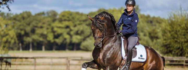 EQ Unsere Marken Banner Hoeveler 1384x519px